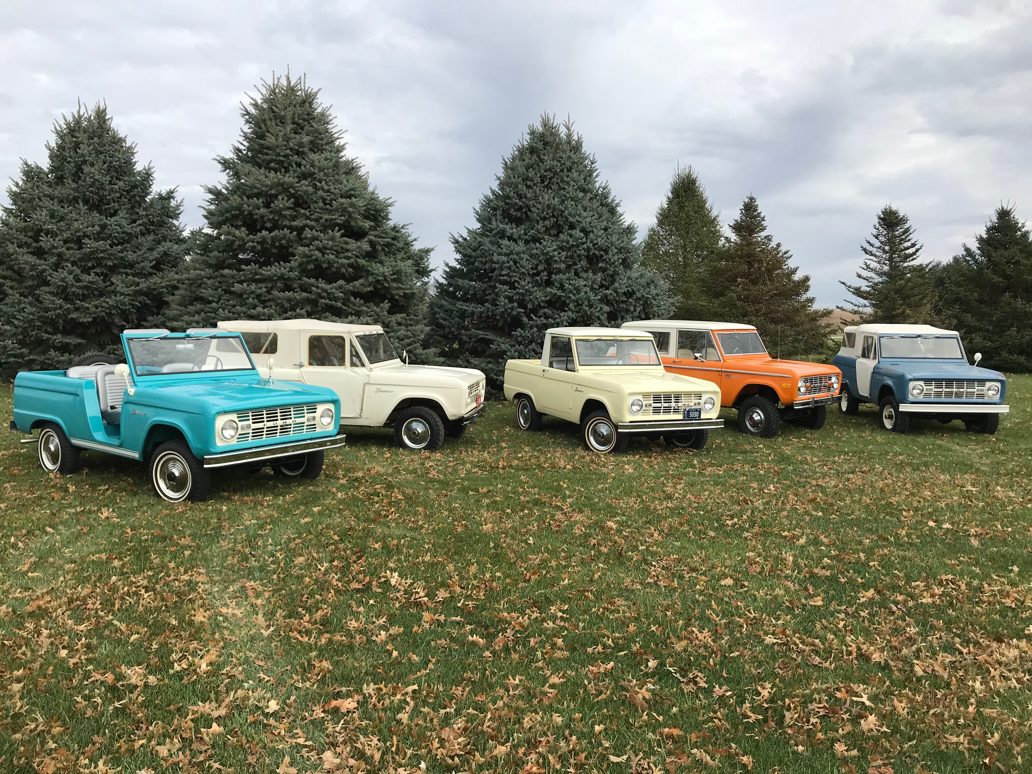 Five vintage Ford Broncos parked in the grass with a backdrop of trees